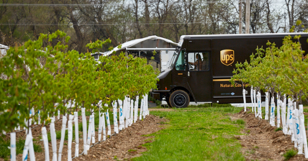 UPS寄件需要哪些资料？UPS寄件指南